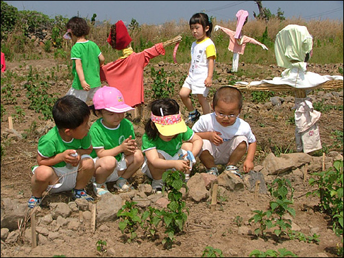 2005년 6월. 4월에 뿌린 씨앗이 어느새 꽃망울을 맺고...고사리 손으로 직접 깨꽃에 EM활성액을 뿌리며 정성을 쏟는 아이들. 